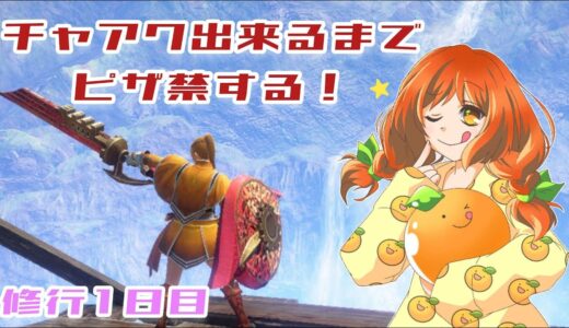 なんでもかんでもタバスコかけるんですってよ　モンハンライズサンブレイク【Switch版】