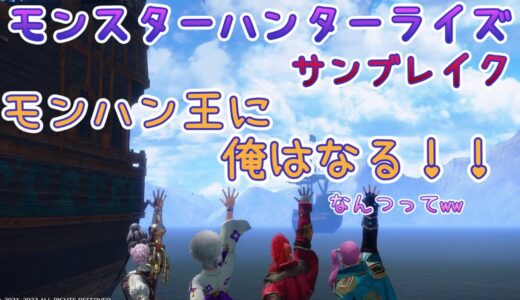 [ps4]　モンスターハンターライズサンブレイク　予定かわり急遽モンハン！！