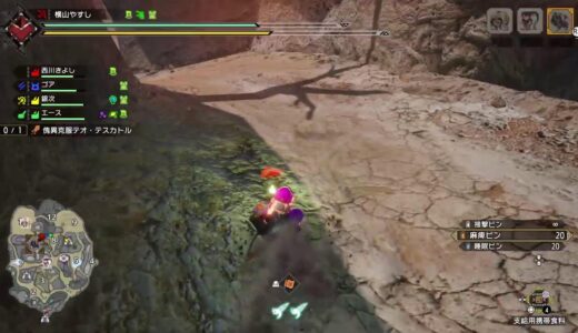 モンスターハンターライズをやる