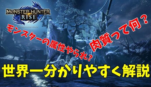 【モンハンライズ】モンスターの属性やられや肉質について詳しく解説します！【ゆっくり実況】