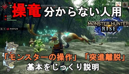 モンハンライズ　操竜のやり方　操作方法や大技　突進離脱等じっくり説明　初心者向け