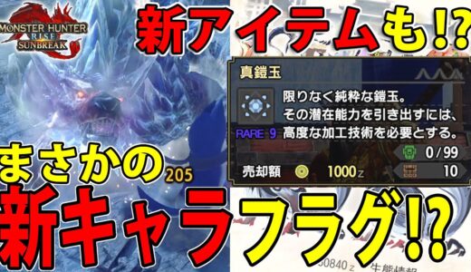 【新イベクエ】ここでまさかの新キャラ匂わせ？！ 依頼分が気になる新イベクエ２本立て！【モンハンライズ サンブレイク】