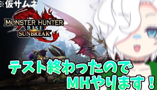 モンハンライズやりますわよ！！