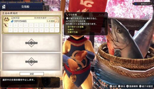 モンハンライズ　初見プレイ!　#14