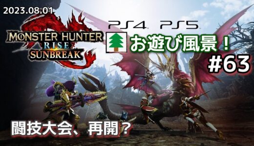 モンスターハンターライズ サンブレイク お遊び風景！#63 2023.08.01【MHR:SB】