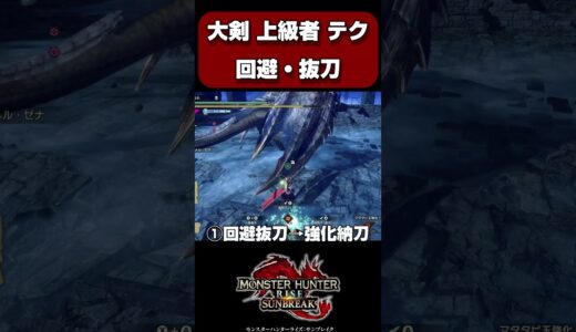 回避抜刀-大剣上級者テクニック【モンハンサンブレイク】【MHRS】【モンハンサンブレイク】【モンハンライズ】【MHRS】