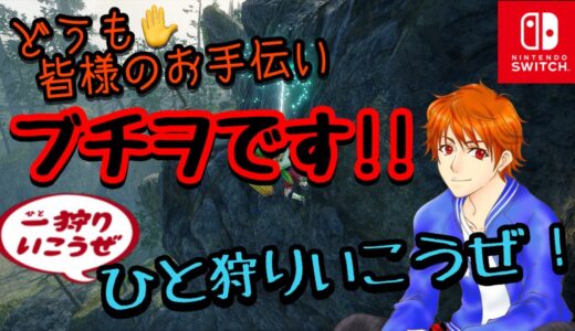 モンスターハンターライズ:サンブレイク Switch版【参加型】