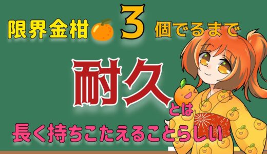 どこからが耐久なん？なんですってよ　モンハンライズサンブレイク【Switch版】