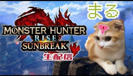【参加型】【switch版モンハンライズ：サンブレイク】草むしりで良いクエスト出す！装備相談や雑談も気軽にどうぞ！#69
