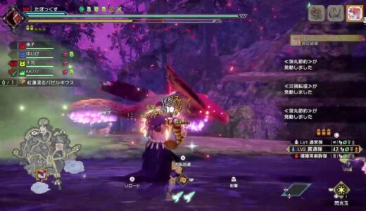【モンスターハンターライズ】
