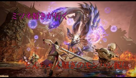 [モンスターハンターライズ/サンブレイク 参加型]ミツネ好きが行くどんちゃん騒ぎなモンハン配信！初見さん大歓迎！！