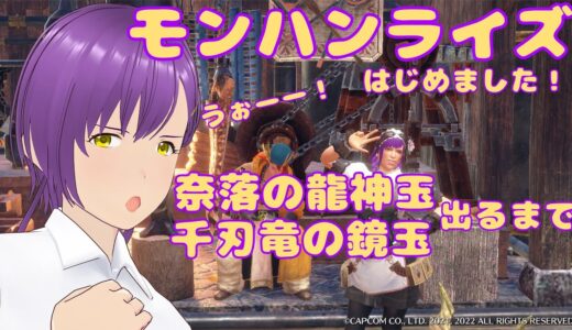 モンハンライズはじめました！#１３