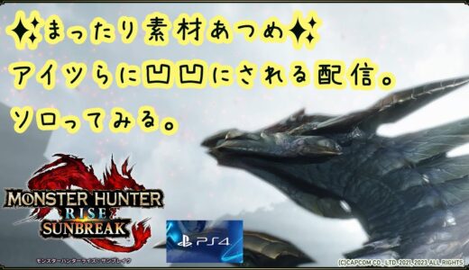 【MHR:SB｜PS版｜ソロ】モンスター練習【モンスターハンターライズ：サンブレイク】