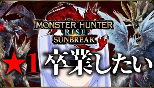 【モンハンライズ サンブレイク】★１特究そろそろ卒業したひ◆またーり朝狩り🌞【PC版(Steam版) MHRise:SB】