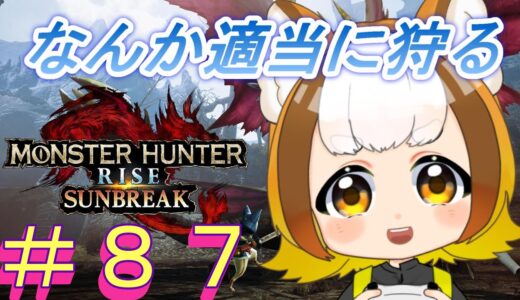 武器変更とスキル構成を考えながら今日はとりあえずエアダ(｀･ω･´)【Switch版モンハンライズ：サンブレイク】