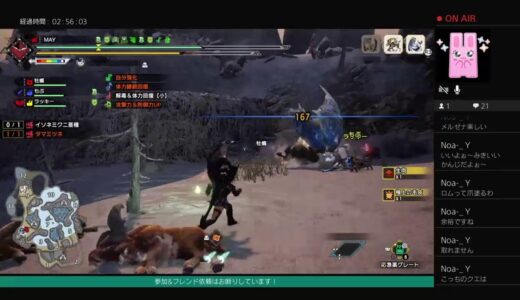 [モンハンライズ]ぽんこつ初心者