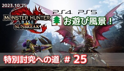 モンスターハンターライズ サンブレイク お遊び風景！2023.10.25【MHR:SB】