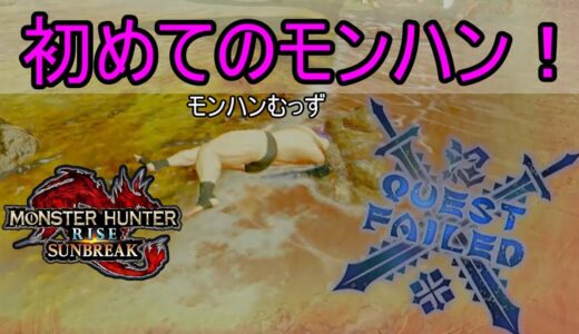 双剣day【参加型配信】Part65 switch版【モンスターハンターライズ：サンブレイク】#初めてのモンハン！