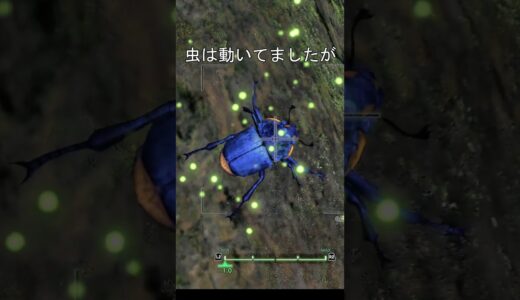 モンハン　比較　虫  #モンハンサンブレイク #モンハンライズ #モンハンワールド #モンハンワールドアイスボーン