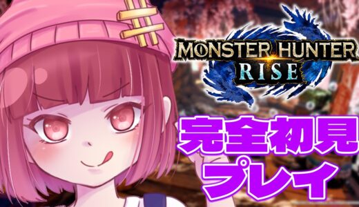 【モンハンライズ】久しぶりの狩りに行く【スイッチ版】