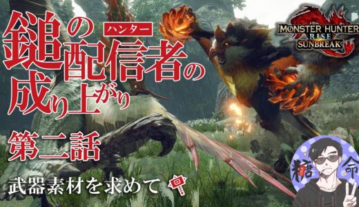 【MHRSB】#02 いまさらモンハンライズやりんす！ 鎚の配信者の成り上がり！初見さん歓迎 まほめと-参加型-PS5