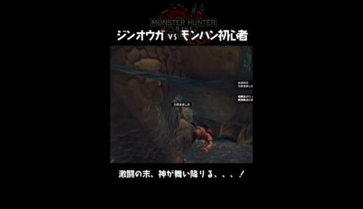 重ね着装備結構お気に入り😼👗💫 #モンハン #モンハンライズ #サンブレイク #ゲーム女子 #monsterhunter