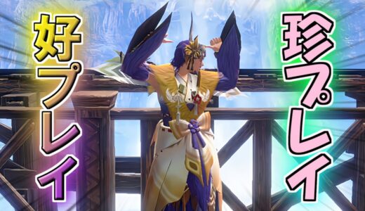 [モンスターハンターライズ：サンブレイク] 珍プレイ好プレイ集 [モンハンライズ：サンブレイク]