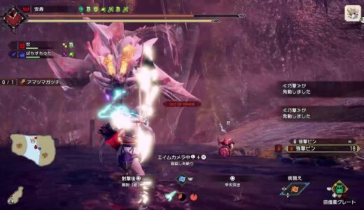 PS版モンハンライズサンブレイク参加型アマツ狩り迅錬丹集め【初見さん歓迎】