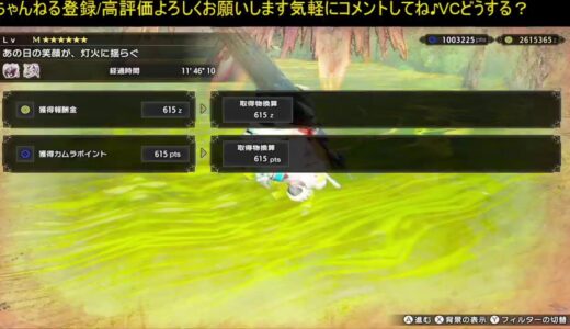 モンハンライズサンブレイク スイッチswitch参加型 傀異討究レベル上げ 金冠 お手伝い