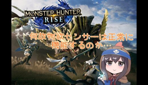 【モンスターハンターライズ】働きすぎな君には少しお休みしていただきたい。君の事だよ物欲センサー君