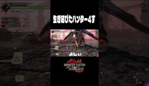 生き延びたハンター4す【モンハンライズサンブレイク】#monsterhunter #shorts #のき #モンスターハンター #サンブレイク