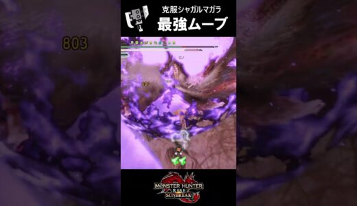 スラアクにしか出来ない最強ムーブ #サンブレイク #mhrise #スラッシュアックス