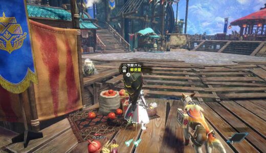 スイッチ版モンハンライズ(｢・ω・)｢ポチポチ～