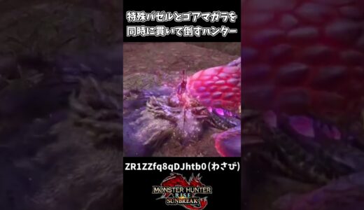 【モンハン】特殊バゼルとゴアマガラを同時に貫くハンター【モンハンサンブレイク】