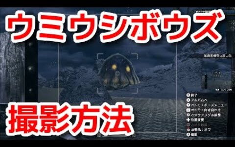 【モンハンサンブレイク】ウミウシボウズの撮影方法『モンスターハンターライズ：サンブレイク』