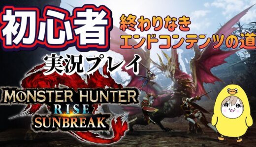 【モンスターハンターライズサンブレイク】初心者実況🔰～みんな大好きエンドコンテンツ～