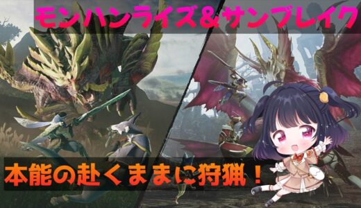 【初見さん歓迎】もえ狩り　参加型【モンスターハンターライズ&サンブレイク】　Switch版