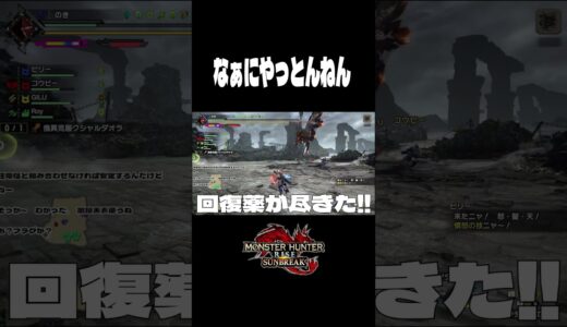 なぁにやっとんねん【モンハンライズサンブレイク】#monsterhunter #shorts #のき #モンスターハンター #サンブレイク