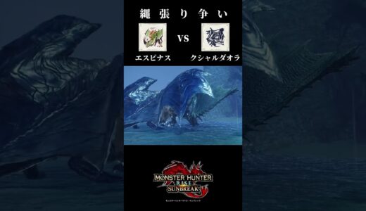 【まさか古龍が…】エスピナスvsクシャルダオラ【縄張り争い】【モンハンサンブレイク】＃shorts＃モンハン＃MHRise