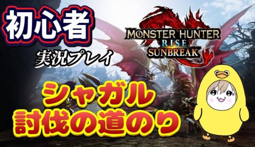 【モンスターハンターライズサンブレイク】初心者実況🔰～EX9シャガルあきらめなければいつか勝てる～