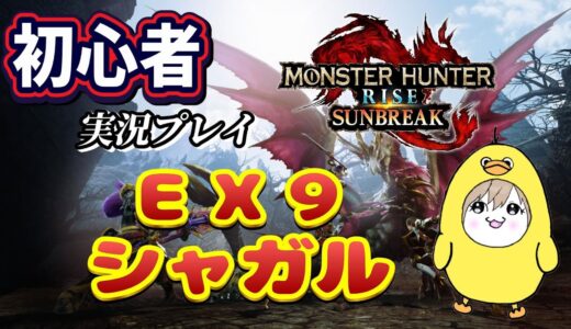 【モンスターハンターライズサンブレイク】初心者実況🔰～EX9シャガルか知らんが倒させてもらう～