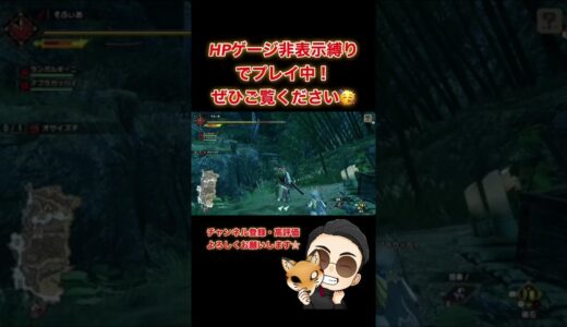 【挨拶】HPゲージ非表示縛りのモンハンが楽しい【モンスターハンターライズ】#shorts