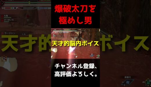 爆破太刀を完璧に極めた男の末路【モンスターハンターライズ：サンブレイク/MHR:SB】