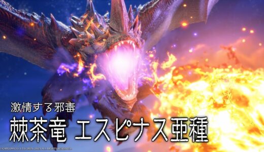 モンハンライズ[PS版参加型]登録者さんと一緒に遊ぼう