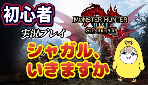 【モンスターハンターライズサンブレイク】初心者実況🔰～傀克シャガルがんばりますです～