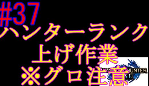 初代モンハンしか知らないけどモンハンライズやるオトモ禁止　#37　上位☆7～