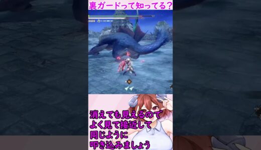 希少種ナルガクルガで裏ガ：ルナルガ【モンハンライズサンブレイク　MHRise:SB】裏ガードって知ってる？逆ガードとか全方位ガードとか言われてる奴