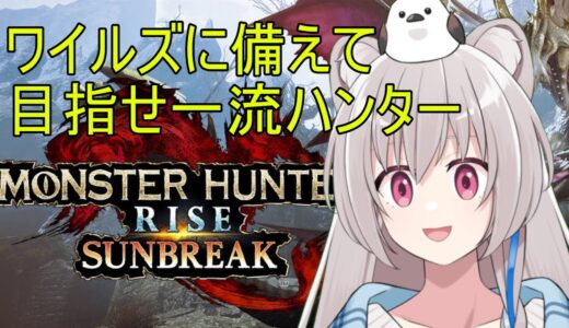 【PS版：MHRSB】9月13日モンスターハンターライズサンブレイク、ワイルズに備えて目指せ一流ハンター！その11 #Vtuber #新人Vtuber #モンハン  #mhrise #sunbreak