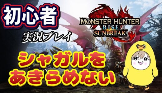 【モンスターハンターライズサンブレイク】初心者実況🔰～シャしゃSYAいつかきっとできるシャガル～