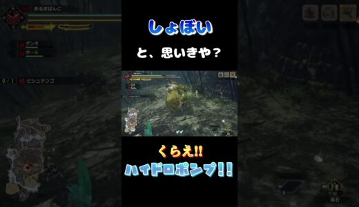 大型ボスの技がしょぼい訳ないんだ #shorts #モンハン #モンハンライズサンブレイク #ゲーム実況 #ゲーム #実況 #mhrise #モンスターハンターライズサンブレイク